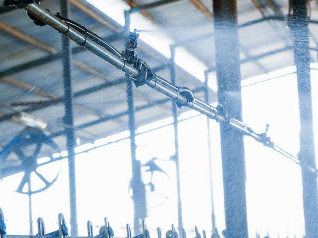 Kuhkomfort: Matten und Matratzen, DeLaval Cow Cooling, Klauenhygiene