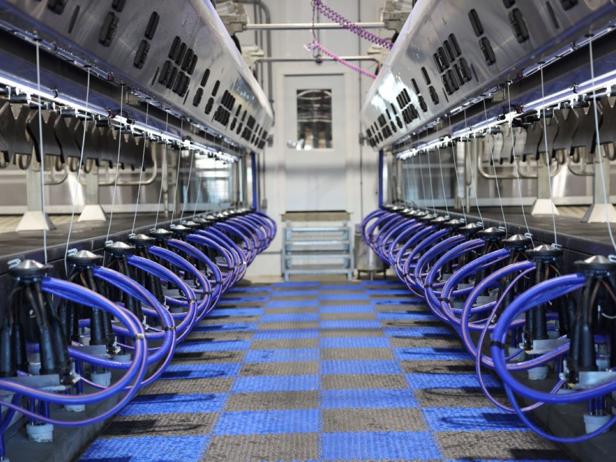 Parallelmelkstände (DeLaval P100, DeLaval P300, DeLaval P500)